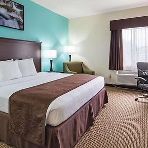 King Room Mobility accessible