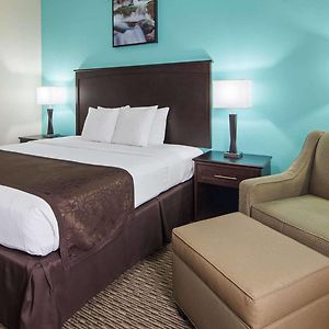 King Room Mobility accessible